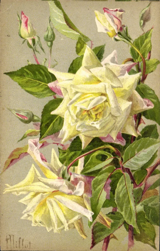 Rosier Marie Van Houtte — Illustration von F. Mifflot — Verleger IMP. F. D'ERENNOIS, Paris - Vorderseite