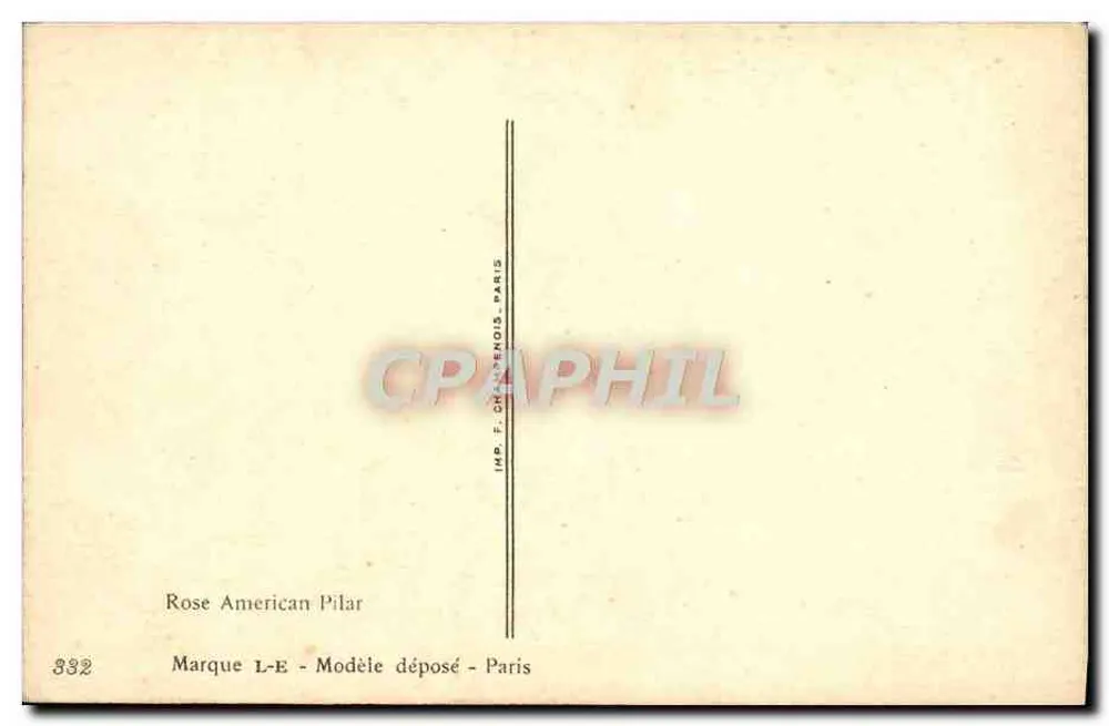 Amerikanische Pilar-Rose — Illustration von Millot — IMP. F. Cazenous, Paris - Rückseite