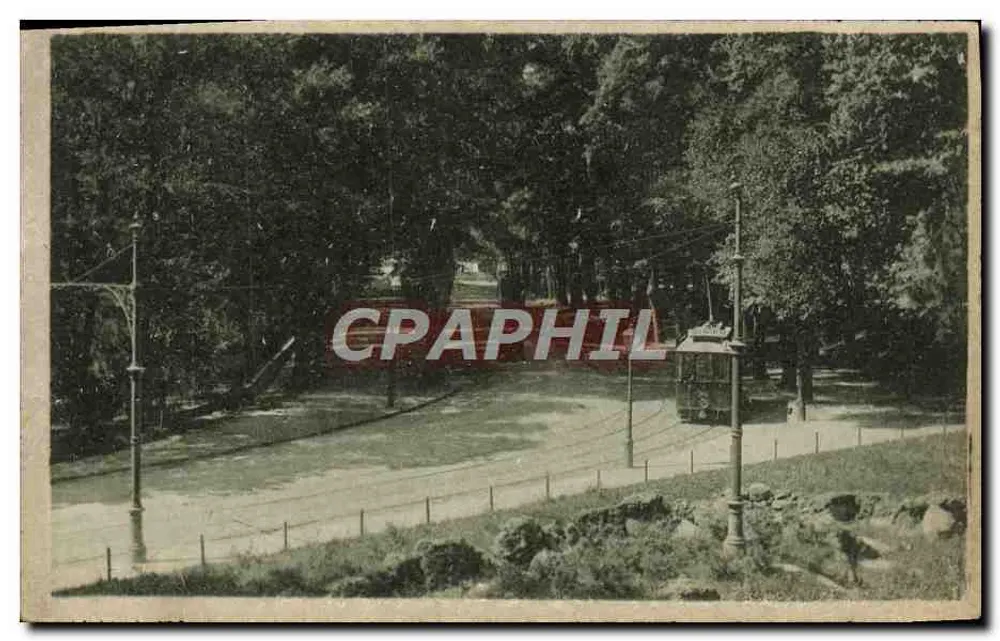 Turim - Parco del Valentino — trêm em um parque arborizado — editor E. Bianchi, n° 3639 - Frente