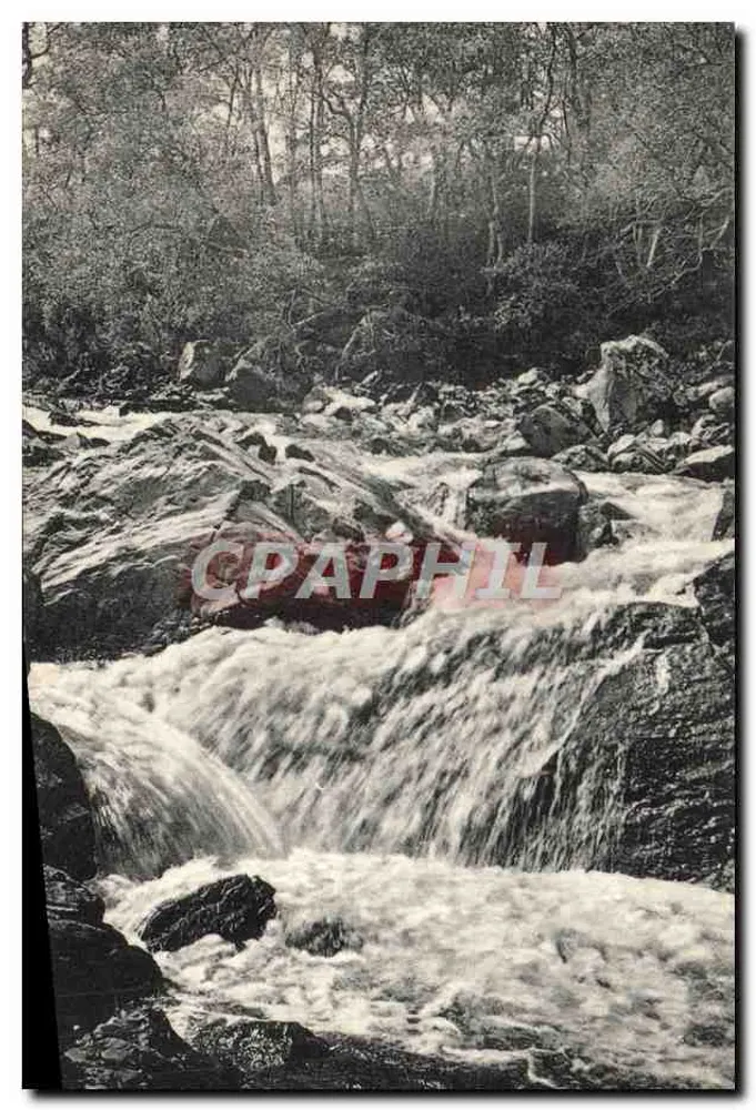 Wasserfall in einem Wald — unbekannter Verlag, Seriennummer nicht sichtbar - Vorderseite