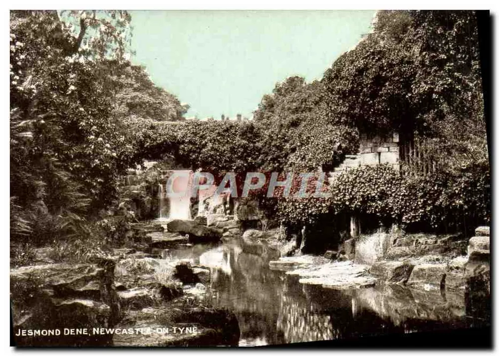 Jesmond Dene, Newcastle-on-Tyne — waterval en rotsen — serie 'Dainty' - Voorkant