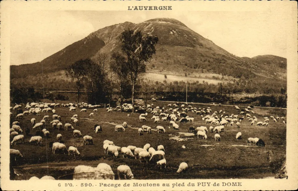 Schafweide am Fuße des PUY-de-DOME — L'Auvergne — G D'O. Nr. 590 - Vorderseite