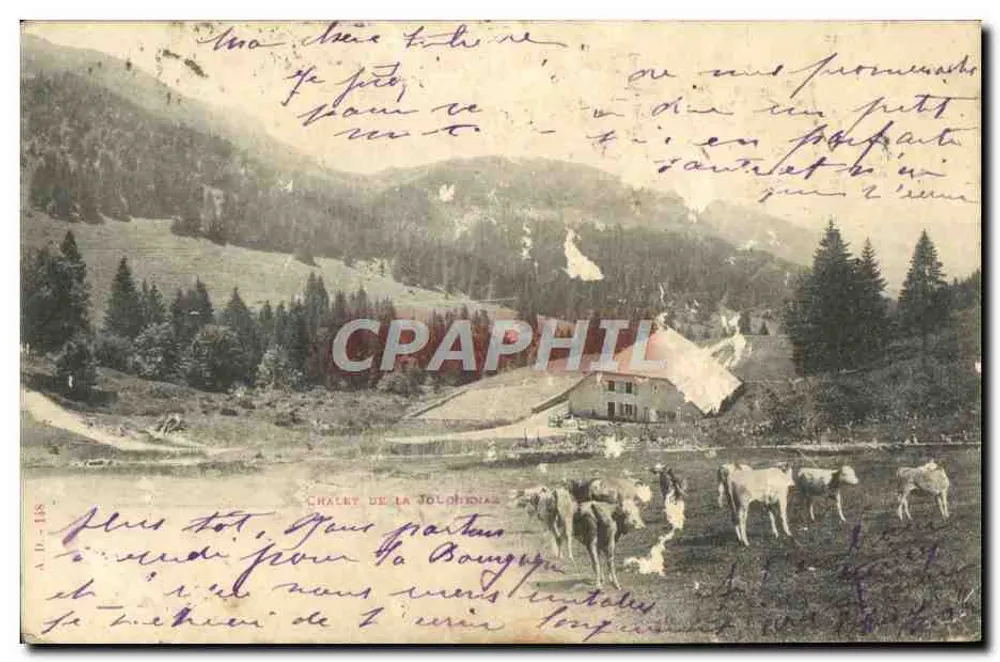 Chalvy de la Jolondias — paysage montagneux avec vaches — éditeur A.D.-BS - Frente
