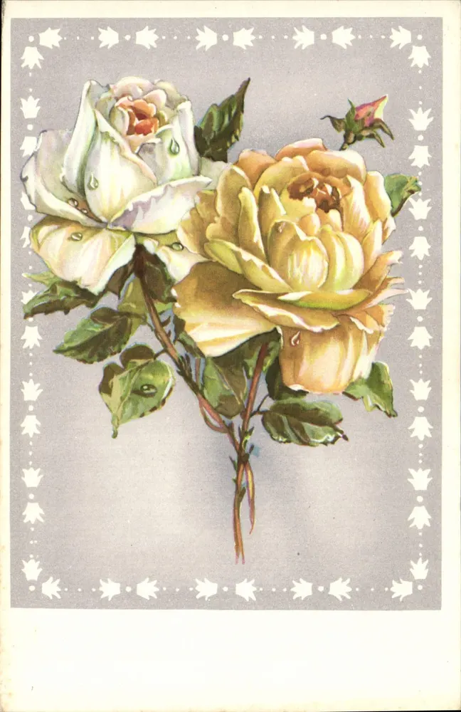 Duas rosas — uma branca e uma amarela — Éditions Superluxe-Paris - Frente