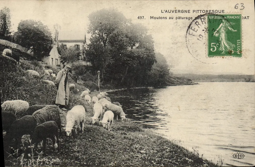 Die pittoreske Auvergne — Schafe auf der Weide — Verlag B.D. Nr. 497 - Vorderseite