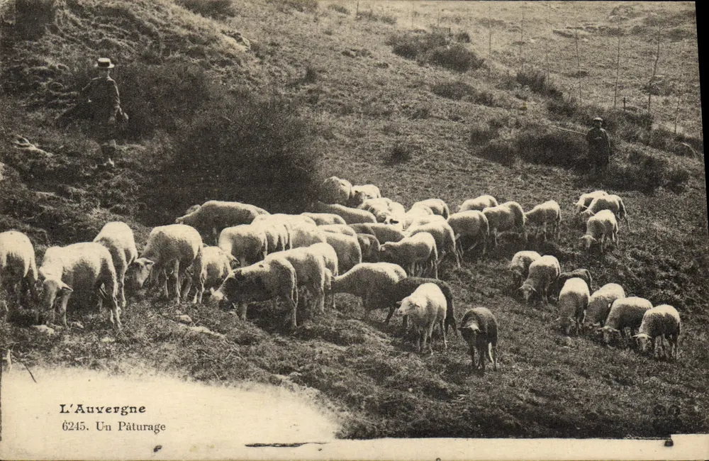 Auvergne — Ein Weidegelände — L'Auvergne 6245 - Vorderseite