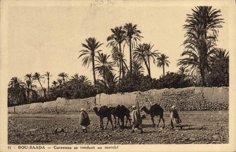 Bou-Saada — Caravane se rendant au marché — Édition « L’AFRIQUE » par R. PROUHO - Vorderseite
