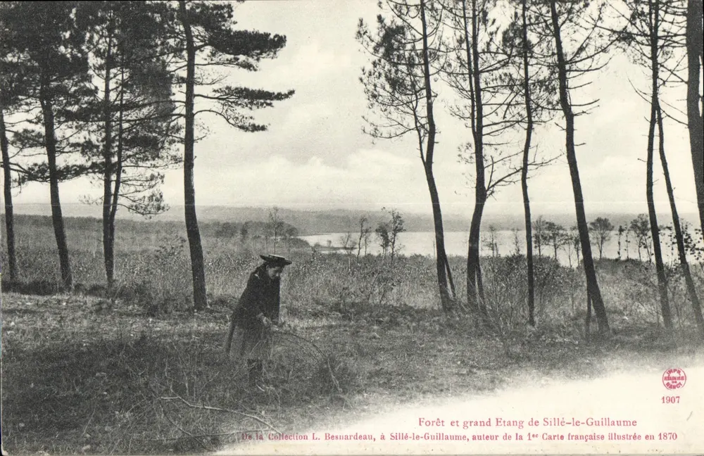 Wald und großes See von Sillé-le-Guillaume — Panoramablick mit einem Mann mit Hut — Verlag L. Besnardeau, n° 1907 - Vorderseite