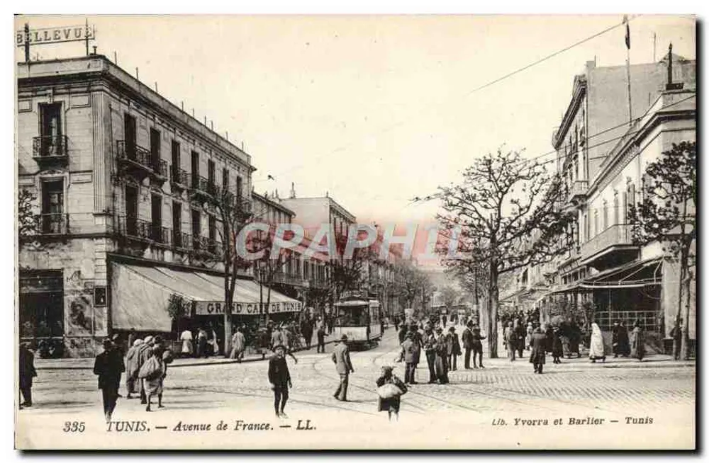 Tunis — Avenue de France — Lib. Yvorra et Barlier — LL. n°335 - Vorderseite