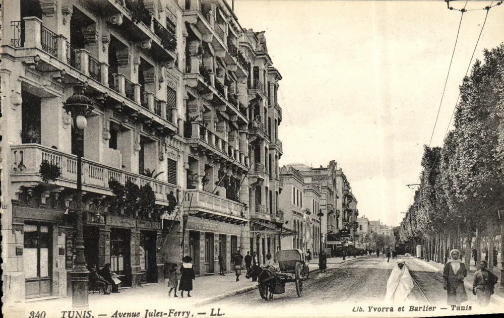 Tunis — Avenida Jules-Ferry — Lib. Yvorra e Barlier - Frente