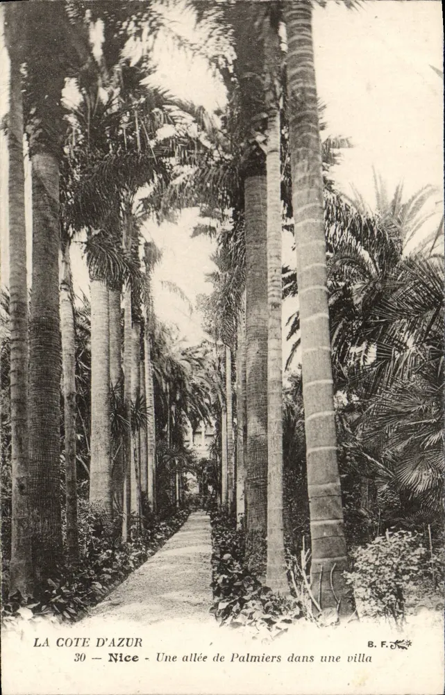 Die Côte d'Azur — Eine Palmengasse in einem Villa — B. F. 30 - Vorderseite