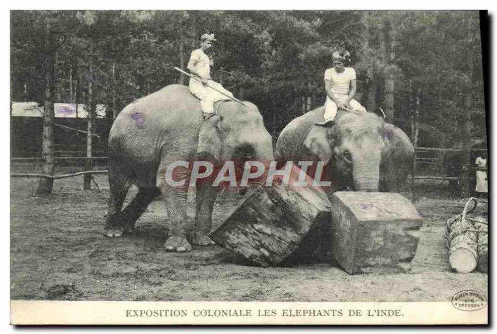 Exposição colonial — Os elefantes da Índia — editor Dresde - Frente
