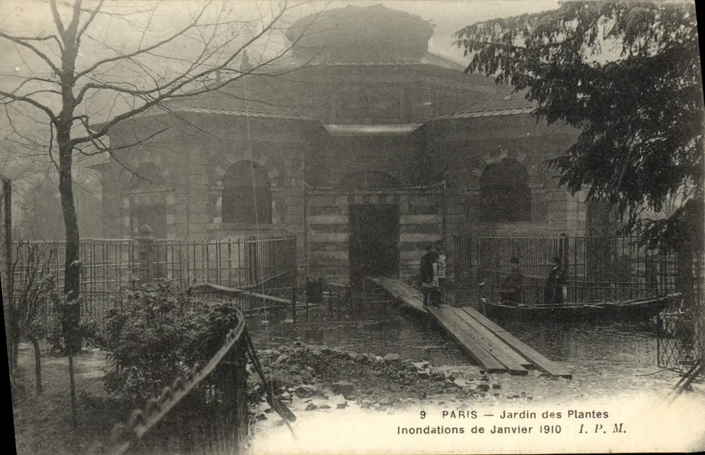 Paris — Jardin des Plantes — Überschwemmungen im Januar 1910 — I. P. M. - Vorderseite