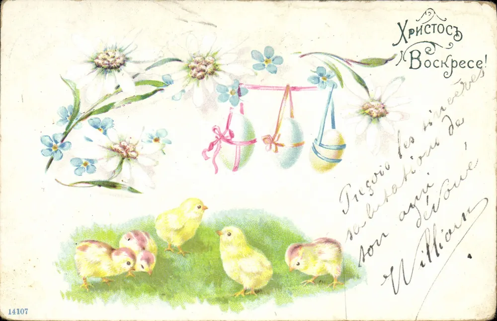 Küken und Ostereier — Ostergrüße — Unbekannter Verlag, Nr. 14107 - Vorderseite
