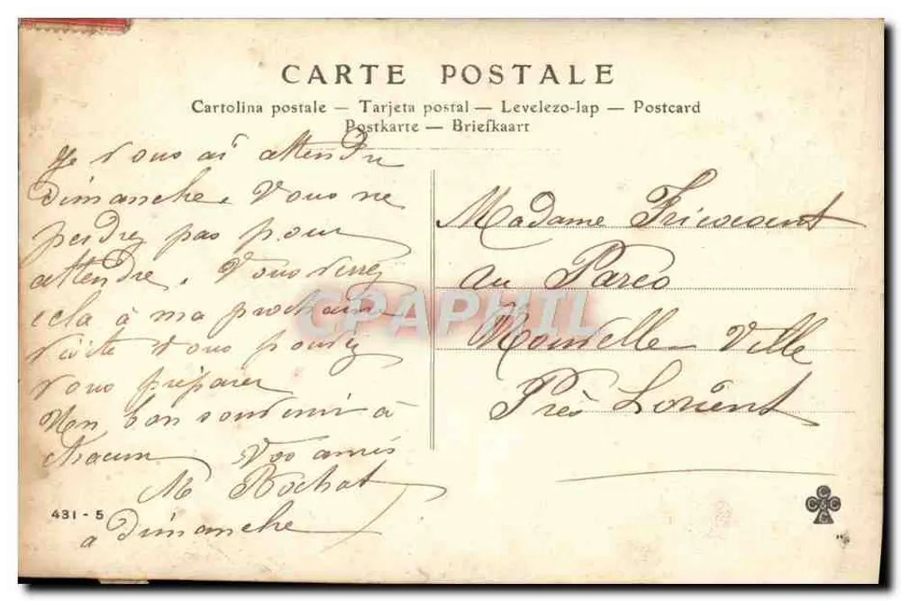 Jeune femme aux grappes de raisin — scène de jardin — éditeur 'CARTE POSTALE' (verso) n°431-5 - Rückseite