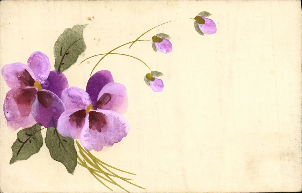 Violettblüten — Aquarell-Illustration — Ansichtskarte - Vorderseite