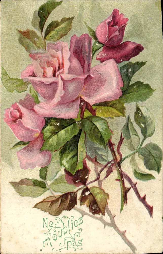 Roses — kartka pocztowa z tekstem 'Ne oubliez pas' — wydawca Cartolina postale - Awers