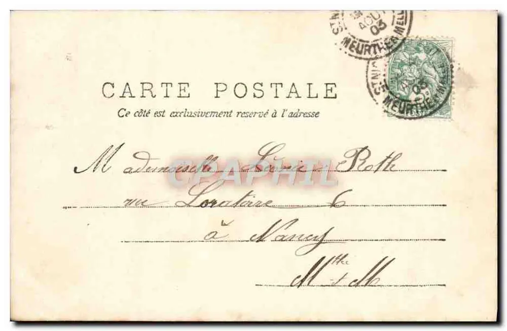 Die Violette — Serie 4/8-1903 — AS. (Fotograf) - Rückseite
