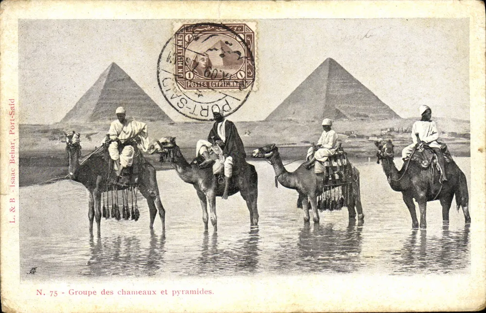 Groupe des chameaux et pyramides — L.&B. Isaac Behar, Port-Saïd, N. 75 - Voorkant