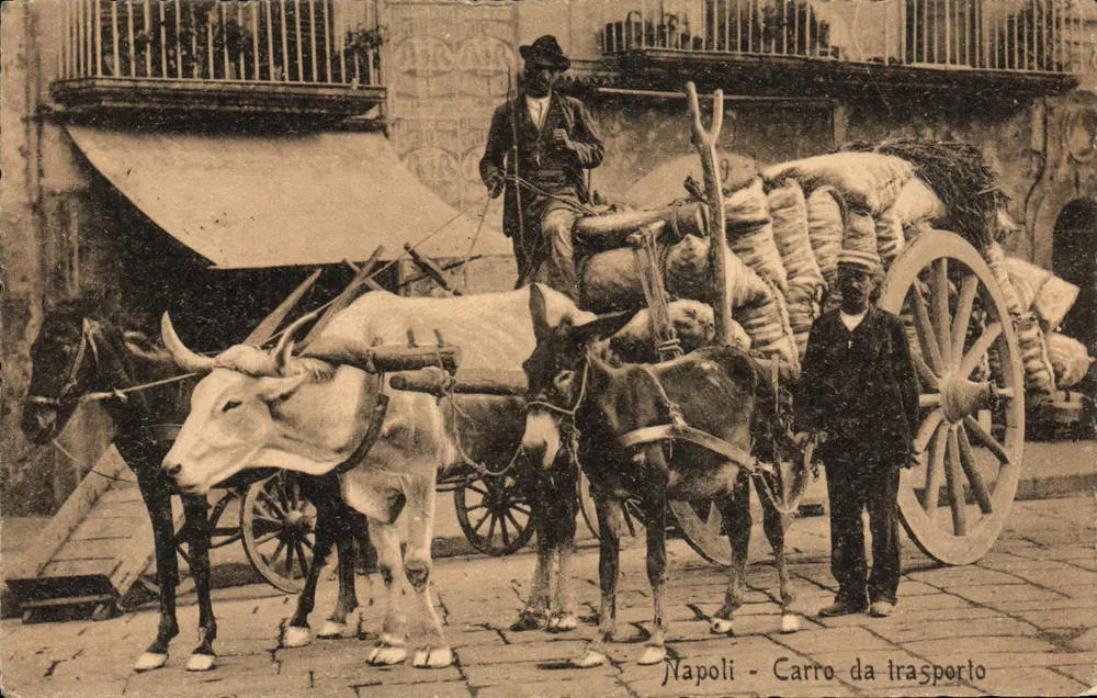 Napoli - Transportwagen — Trampetti e Migliaccio, n°167 - Vorderseite