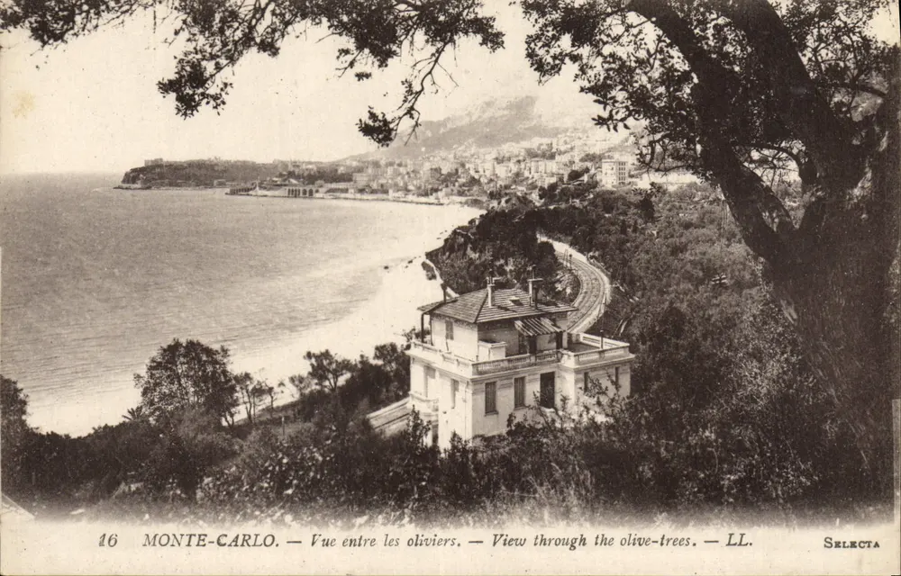 Monte-Carlo — Ansicht zwischen Olivenbäumen — Selecta - Vorderseite