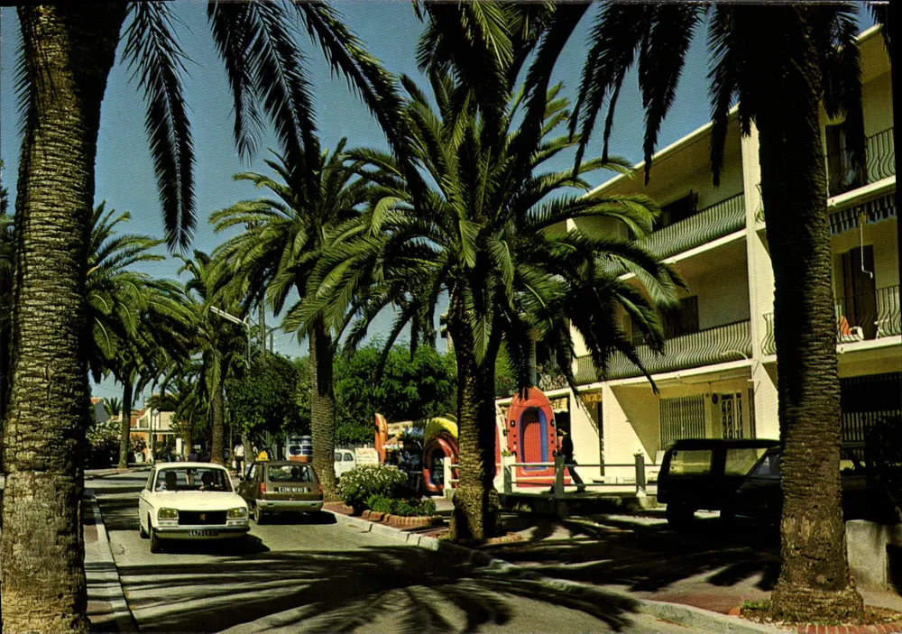 Sanary-sur-Mer — Avenue de Port Issol, seine Palmen — Edition Six-Fours-les-Plages, XR109 - Vorderseite