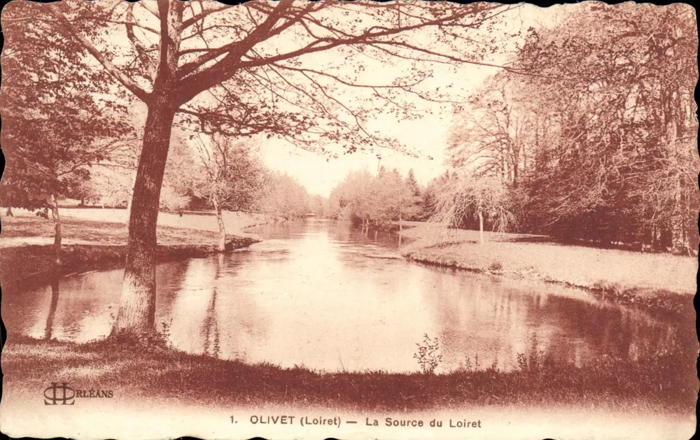 Olivet (Loiret) — A Fonte do Loiret — D'Orléans - Frente