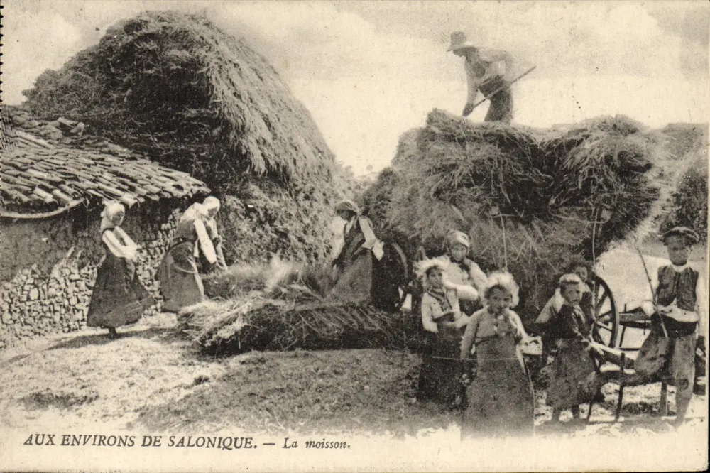 In der Nähe von Salonica — Die Ernte — Ansichtskarte - Vorderseite