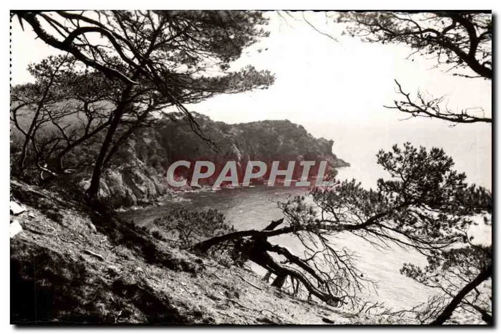 Porquerolles — Calanque de l'Oustaou de Diou — Coleção Porquerolles - Frente