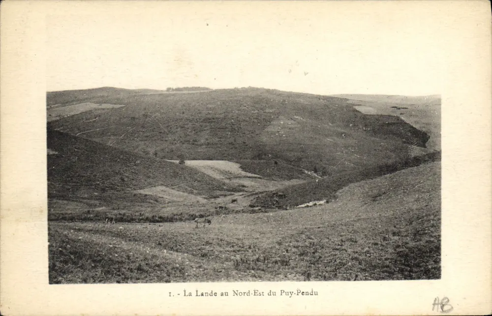 La Lande im Nordosten des Puy-Pendu — Panoramablick — AB - Vorderseite