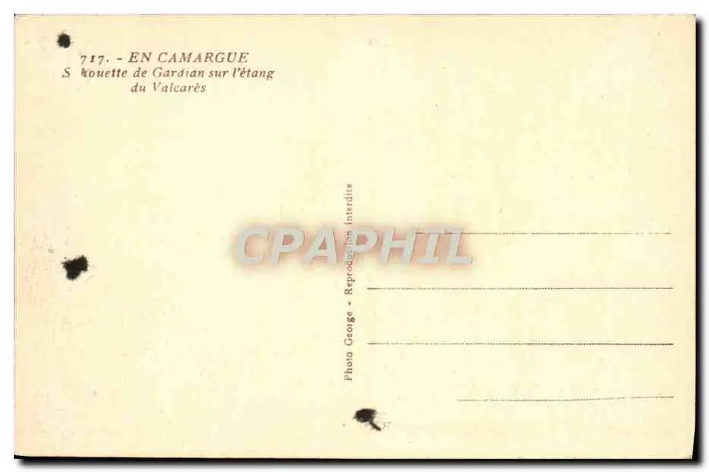 Wächter am Étang du Valcarès — Camargue — Foto George - Rückseite