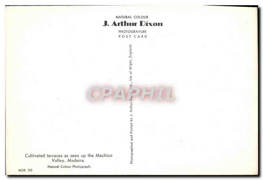 Kultivierte Terrassen — Tal von Machico, Madeira — J. Arthur Dixon, MDR. 50 - Rückseite