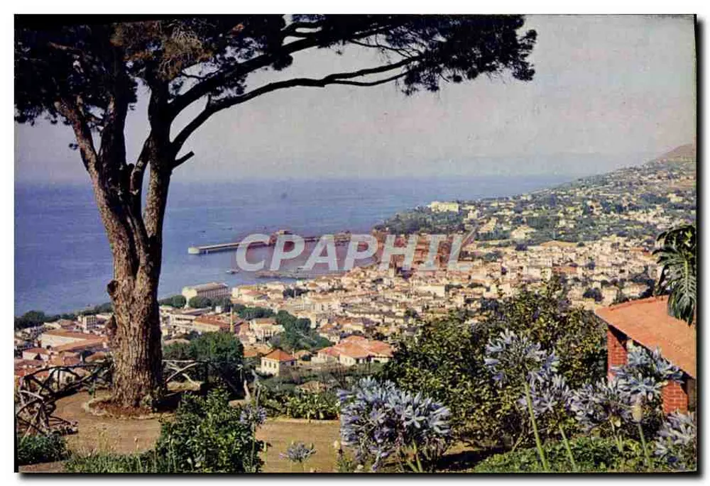 Funchal — vista desde a Levada de Bom Sucesso — J. Arthur Dixon - Frente