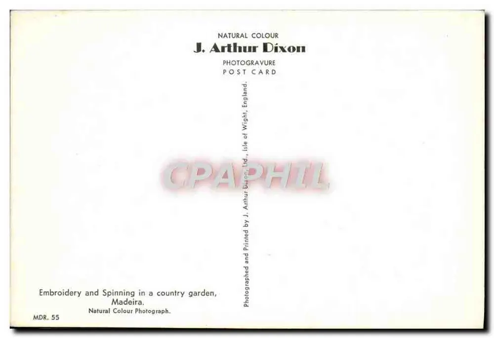Stickerei und Spinnen in einem Landgarten — Madeira — J. Arthur Dixon, MDR. 55 - Rückseite