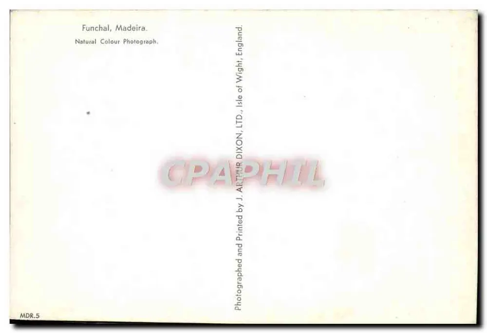 Funchal, Madeira — widok portowy z jachtami — J. Arthur Dixon, Ltd. - Rewers