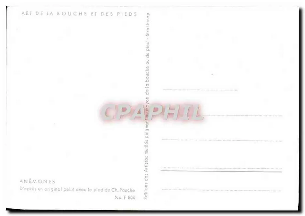 Anêmonas — pintadas com o pé — Ch. Pasche — No F 804 - Verso