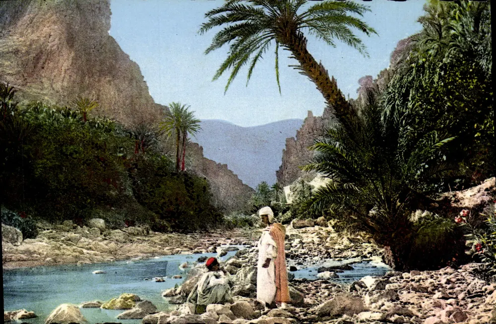 Landschaft des Südens — Nordafrika — Natural Editions, Alger, n° 8.285 - Vorderseite