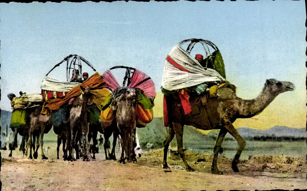 Karawanen im Süden — Nordafrika — Éditions naturelles, Alger, n° 9.001 - Vorderseite