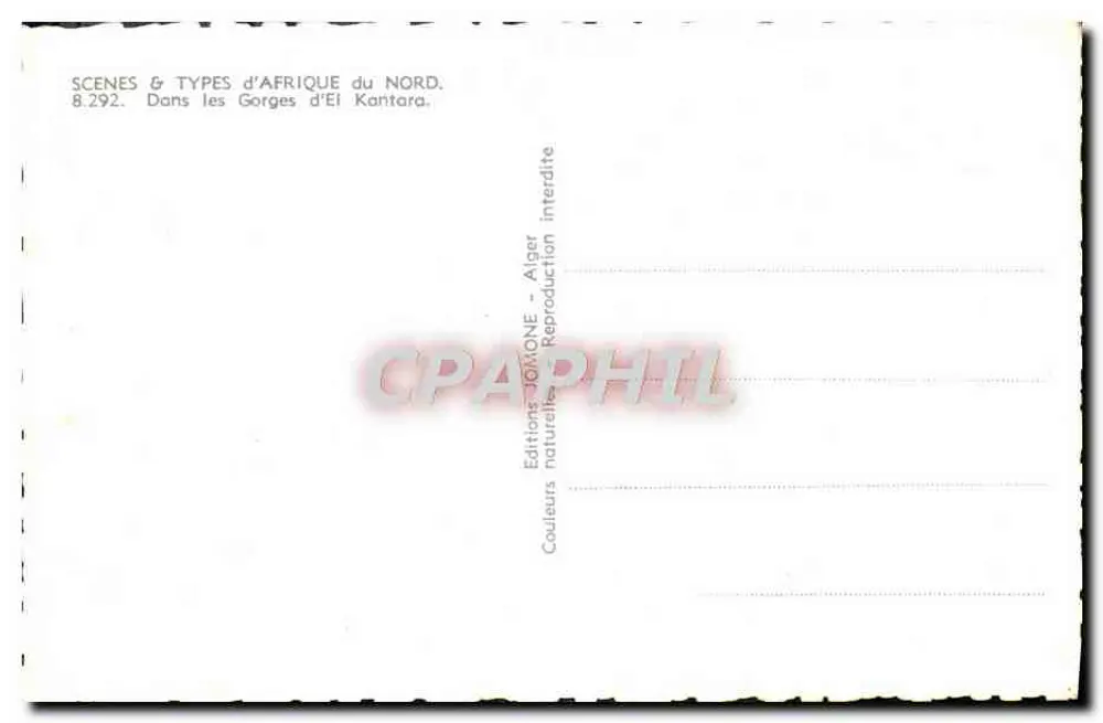 Gorges von El Kantara — Algerien — Jonone Editions, n° 8.292 - Rückseite