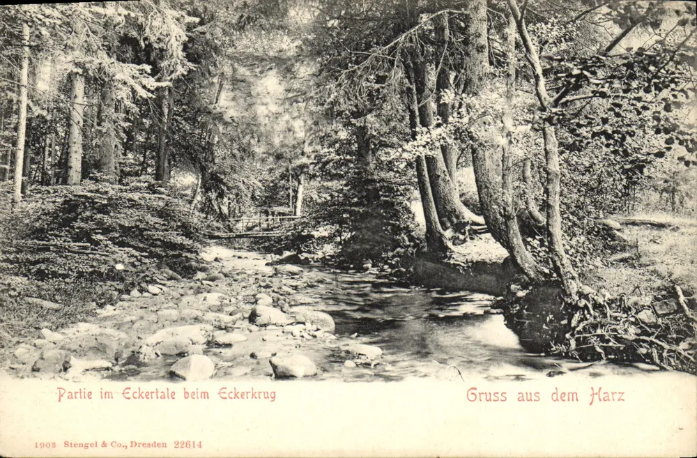 Partie im Eckertale beim Eckerkrug — Gruss aus dem Harz — Stengel & Co., Dresden 22614 - Recto