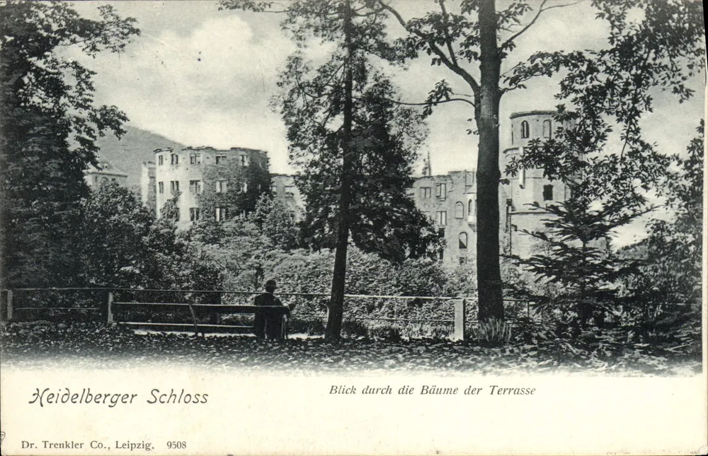 Heidelberger Schloss — Vue à travers les arbres de la terrasse — Dr. Trenkler Co., Leipzig, n° 9508 - Recto