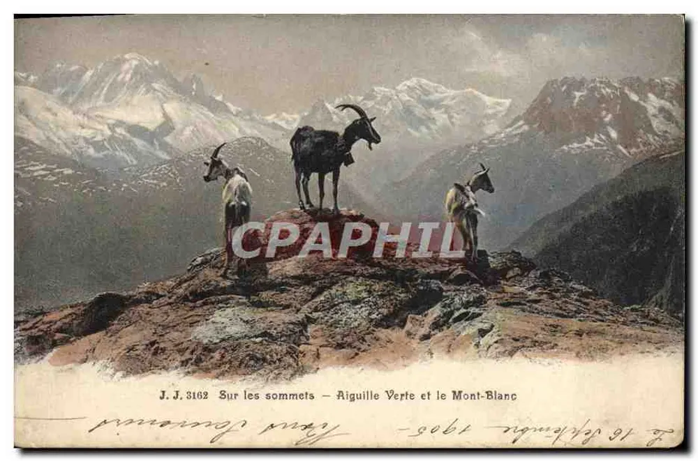 Auf den Gipfeln — Aiguille Verte und Mont-Blanc — Jullien frères, Genf, Nr. 3162 - Vorderseite