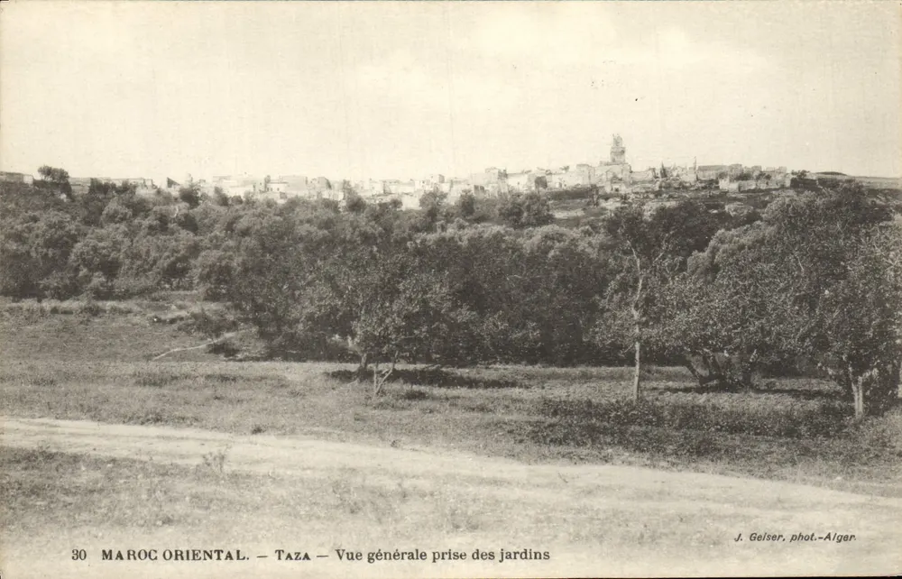 Taza — Allgemeiner Blick aus den Gärten — J. Geiser, phot.—Alger - Vorderseite