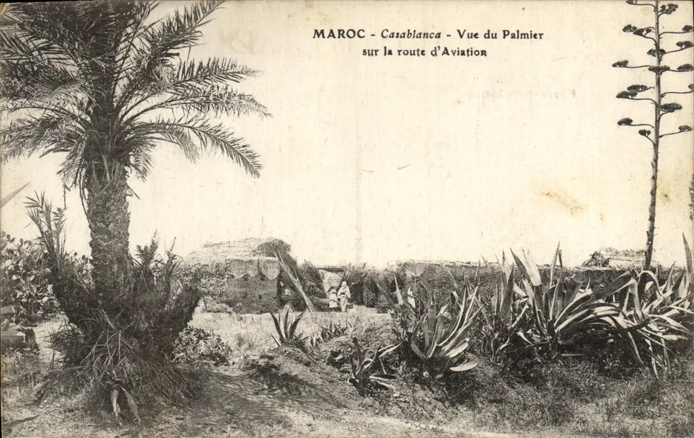 Marokko - Casablanca - Ansicht des Palms auf der Luftfahrtsstraße - Vorderseite