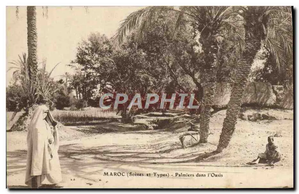 Maroc (Scènes et Types) — Palmiers dans l'Oasis — éditeur MAROC (Scènes et Types) - Frente