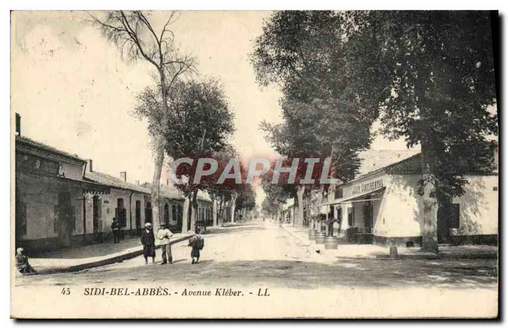 Sidi-Bel-Abbès - Avenida Kléber — Café Continental — LL n°45 - Frente