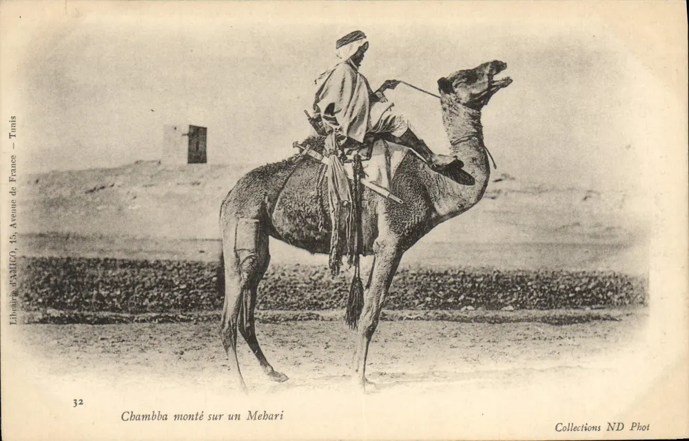 Chambba montado em um Mebari — Tunis — Livraria CAMICO, 15, Avenida da França - Frente