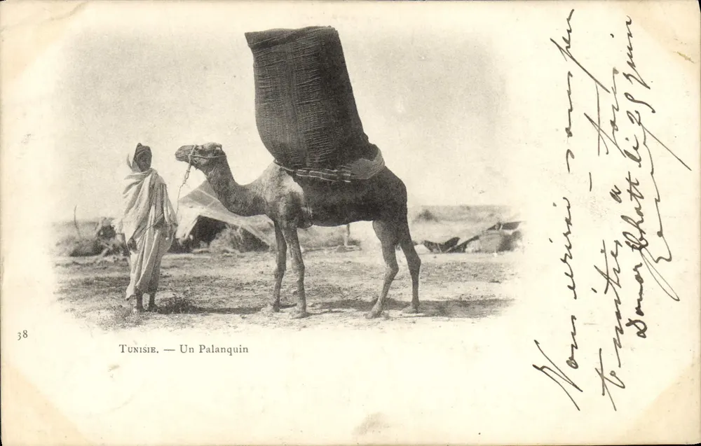 Tunísia — Um Palanquim — Éditions de Tunisie, n° 38 - Frente