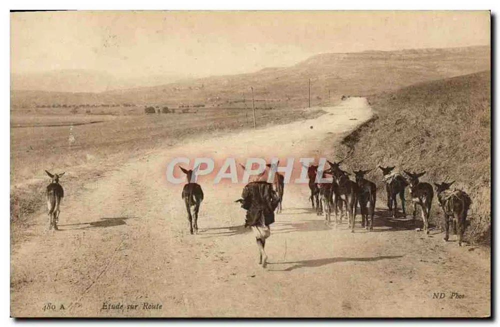रूट पर अध्ययन — एनडी फोटो — संख्या 480 ए - आगे