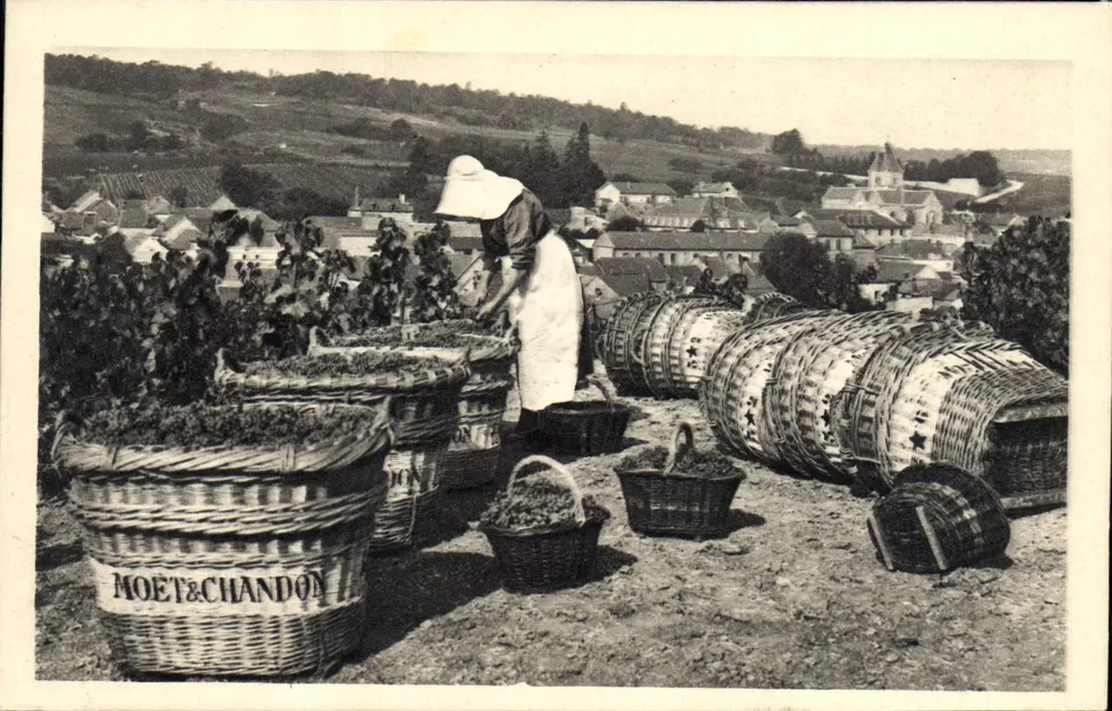 Traubenlese-Szene — Le Mesnil-sur-Oger — Moët & Chandon - Vorderseite